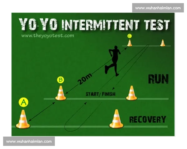 足球赛前信息系统化整理方法与实战决策应用研究模型构建与评估 - 副本